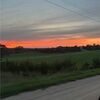 nmatson08